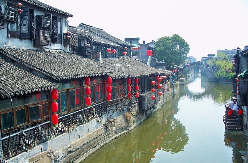 狗狗们修毛前后的对比,差别真是太大了,论“发型”的重要性